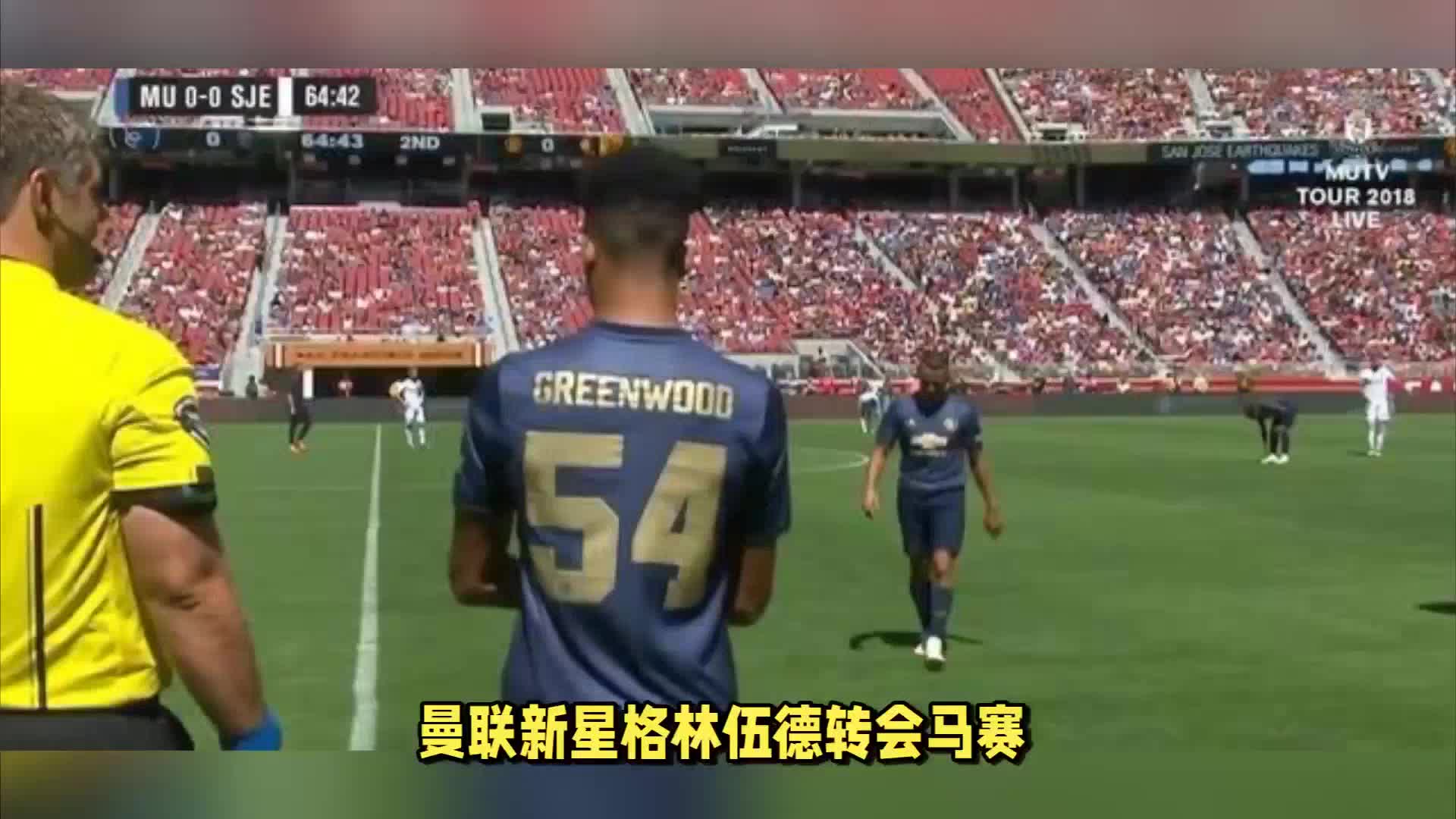 他们不仅是